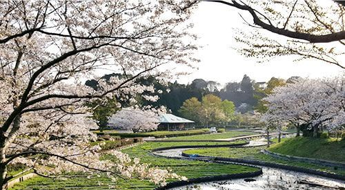 小湊鉄道風景